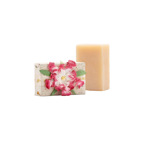 PF Soap Dragonfruit